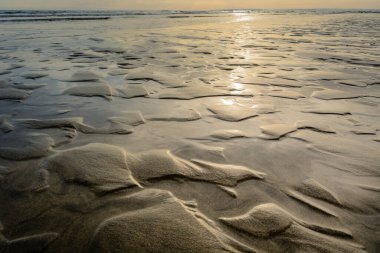 Kumsalda gün batımında Camargue, Espiguette plajı..