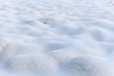 Kar dalgaları Fransa 'da kışın bir tarlaya çarpıyor.