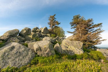 Fransa 'daki Vosges dağlarında granit kayalar