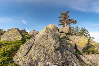Fransa 'daki Vosges dağlarında granit kayalar