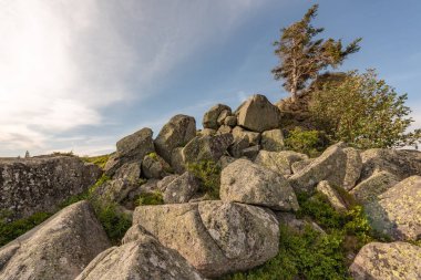 Fransa 'daki Vosges dağlarında granit kayalar