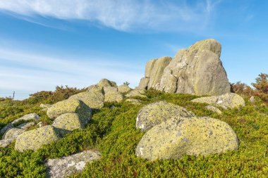 Fransa 'daki Vosges dağlarında granit kayalar