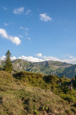 Brienz yakınlarındaki İsviçre Alplerinin manzarası.