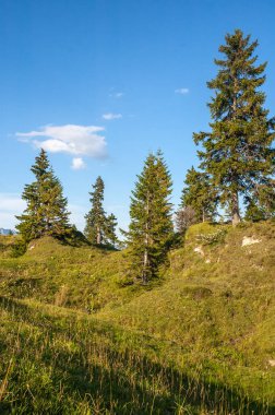 Brienz yakınlarındaki İsviçre Alplerinin manzarası.