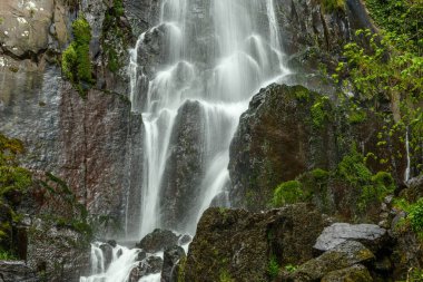 Nideck Şelalesi Fransa 'da bir Vosges ormanında baharın başlarında.