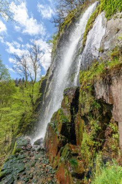 Nideck Şelalesi Fransa 'da bir Vosges ormanında baharın başlarında.