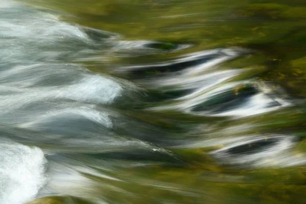 Povrch Řeky Rýnském Lese Francii — Stock fotografie