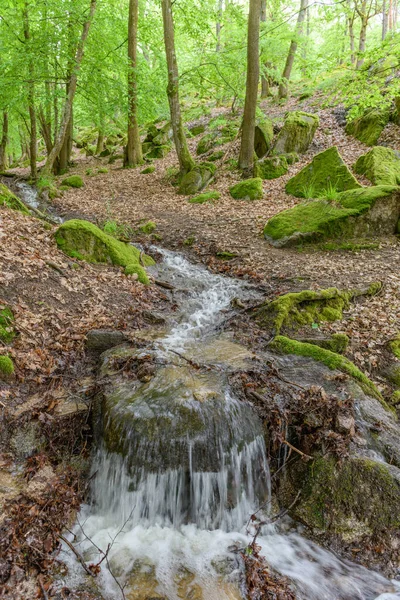 İlkbaharda ormanda küçük bir şelale. Vosges, Fransa