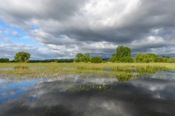 Blühende Wiese Bei Trübem Frühlingswetter Der Französischen Landschaft — Stockfoto