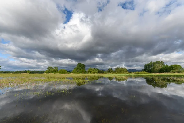 Blühende Wiese Bei Trübem Frühlingswetter Der Französischen Landschaft — Stockfoto