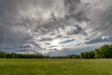 İlkbaharda ormanın ortasında geniş bir alan. Fransa, Alsace..