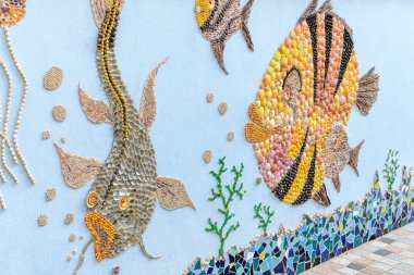 Penotte Adası: Sables-d 'Olonne' un deniz kabuğu bölgesi. Fransa.