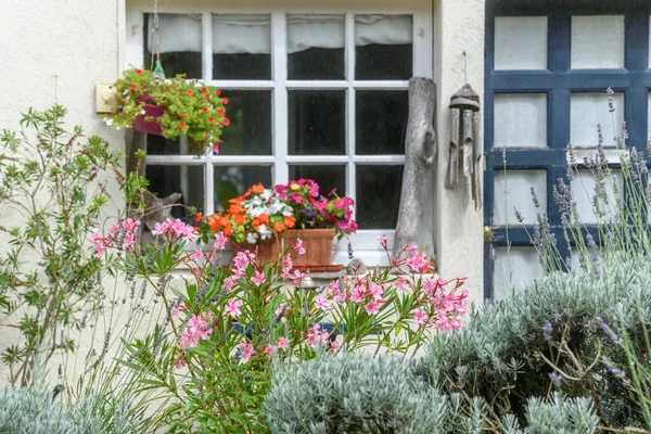 Garden blooms in a holiday house by the sea. France