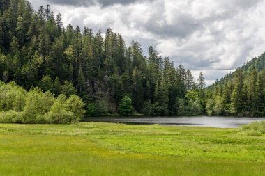 Vosges 'un baharda Gerardmer yakınlarındaki manzarası. Fransa, Avrupa.