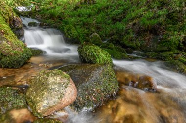 Vosges 'deki dağ seli. Vologne 'da Şarlman Şelalesi.