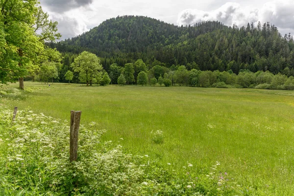 Τοπίο Των Βοσγίων Την Άνοιξη Κοντά Στο Gerardmer Γαλλία Ευρώπη — Φωτογραφία Αρχείου