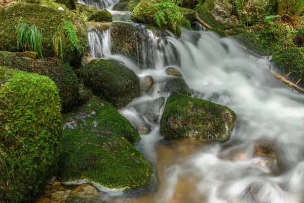 Vosges 'deki dağ seli. Vologne 'da Şarlman Şelalesi.