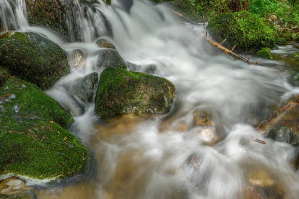 Torrente Montanha Nos Vosges Cachoeira Carlos Magno Vologne — Fotografia de Stock