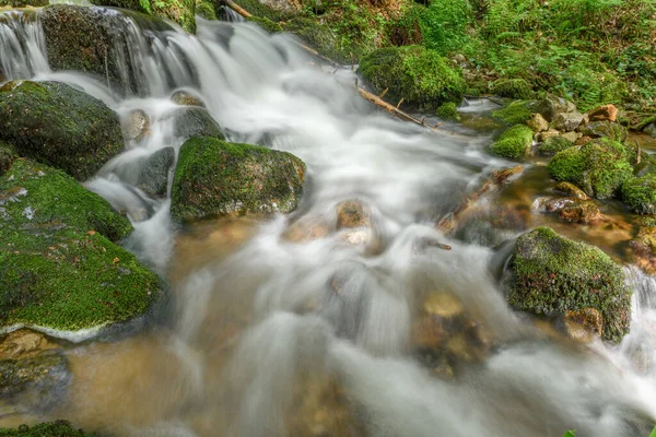 Vosges 'deki dağ seli. Vologne 'da Şarlman Şelalesi.