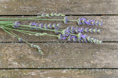 Ahşap bahçe masasında bir demet lavanta. Fransa.