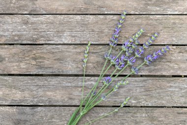 Ahşap bahçe masasında bir demet lavanta. Fransa.