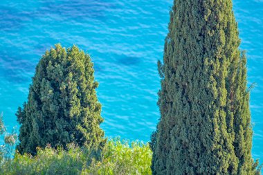 Monako yakınlarındaki Akdeniz kıyısında Roquebrune-Cap-Martin köyü..