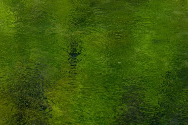 Nehrin berrak sularında yeşil yansımalar. Fransa