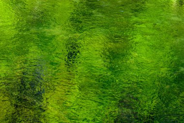 Nehrin berrak sularında yeşil yansımalar. Fransa