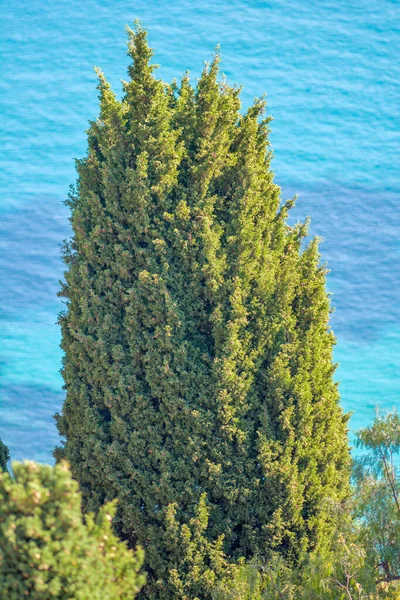 Village Roquebrune Cap Martin Mediterranean Coast Monaco — Stock Photo, Image
