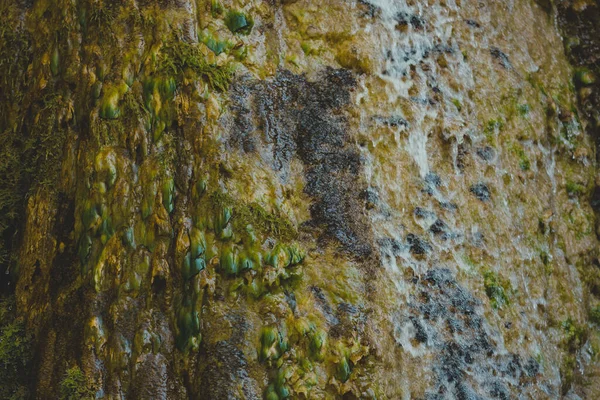 Agua Clara Translúcida Río Jura Francia Cascada Toba Cerca Arbois —  Fotos de Stock