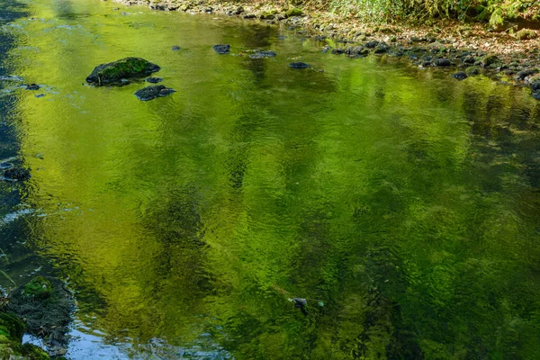 Зелений Колір Відбивається Чистій Воді Річки Франція — стокове фото