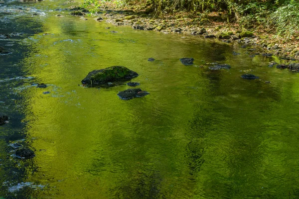 Зелений Колір Відбивається Чистій Воді Річки Франція — стокове фото