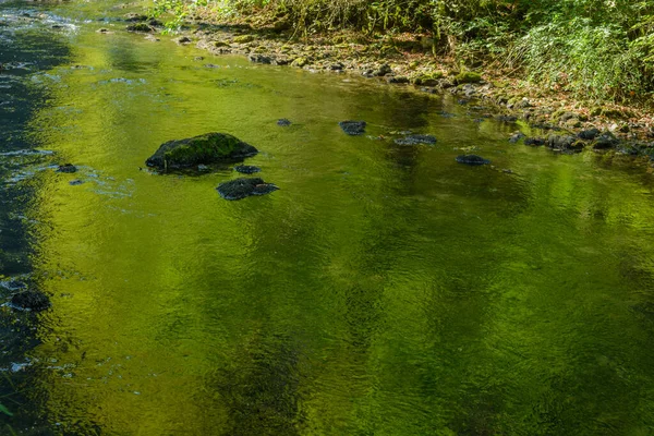 Зелений Колір Відбивається Чистій Воді Річки Франція — стокове фото