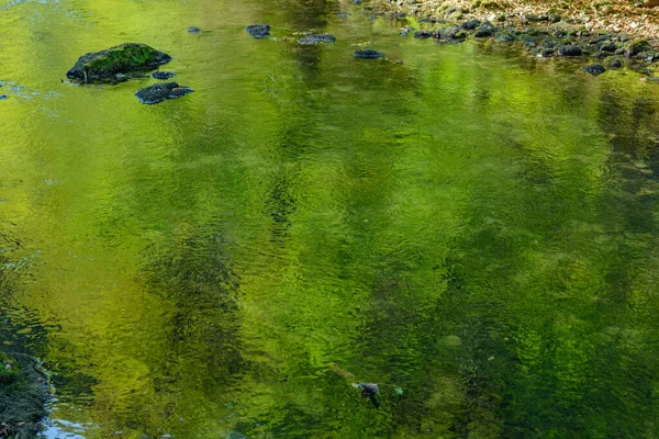 Gröna Reflektioner Det Klara Vattnet Flod Frankrike — Stockfoto