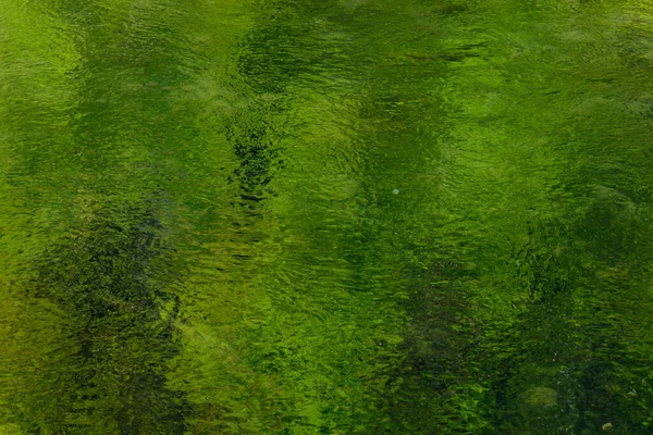 Zielone Odbicia Czystej Wodzie Rzeki Francja — Zdjęcie stockowe