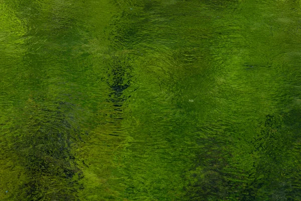 Riflessi Verdi Nell Acqua Limpida Fiume Francia — Foto Stock