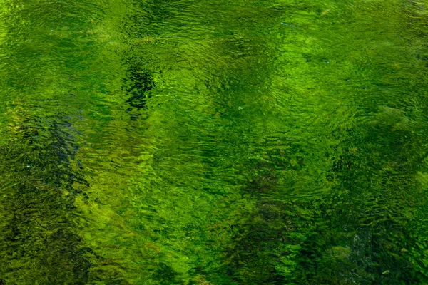Gröna Reflektioner Det Klara Vattnet Flod Frankrike — Stockfoto