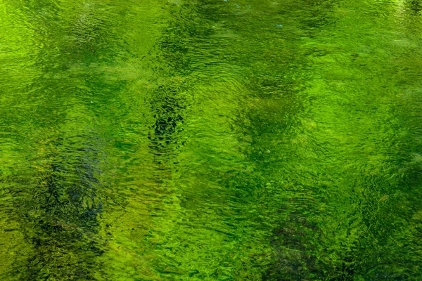 Riflessi Verdi Nell Acqua Limpida Fiume Francia — Foto Stock