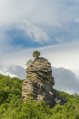 Provenal Drome 'daki Jabron Vadisi manzarası. Alpes de Haute Provence, Fransa.