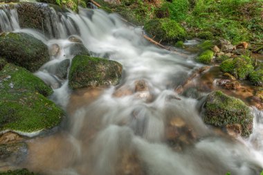 Deredeki su yosun kaplı kayaların üzerinden akar. Sahne, ağaçların arasından süzülen yumuşak ışıkla ilkbaharda ormanda geçiyor. Vosges, Fransa, Avrupa.