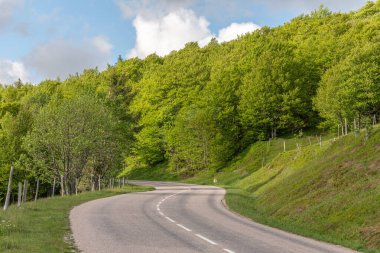 Ağaçlar ve yeşil tepeler arasındaki yol kıvrımları. Gökyüzü parçalı bulutlu. Hava açık ve aydınlık. Araçlar bu yolda seyahat edebilir. Girit Yolu, Vosges, Fransa, Avrupa.