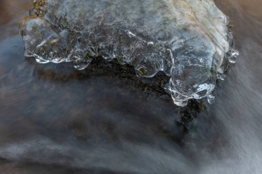 Dallar akıntıya yakın buzlarla kaplıdır. Su yavaşça akar, karada ve kayaların arasında buz oluşumları yaratır. Haut Rhin, Vosges, Alsace, Fransa, Avrupa.