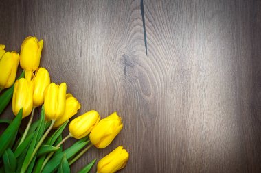 Ahşap arka planda sarı laleler. Yüksek kalite fotoğraf