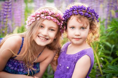  7 ve 4 yaşlarında iki kız gülümsüyor ve lupin tarlasında kameraya bakıyor. Yüksek kalite fotoğraf