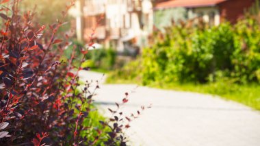  Arkaplan kullanımı için gündüz vakti Soyut Bulanık Yol resmi. - Evet. Arkaplan kullanımı için gündüz saatinde Soyut Bulanık Yol 'un yüksek kaliteli fotoğrafı . 