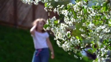 Baharın erken saatlerinde güneşli bir günde bir ağacın dallarında beyaz çiçekler.