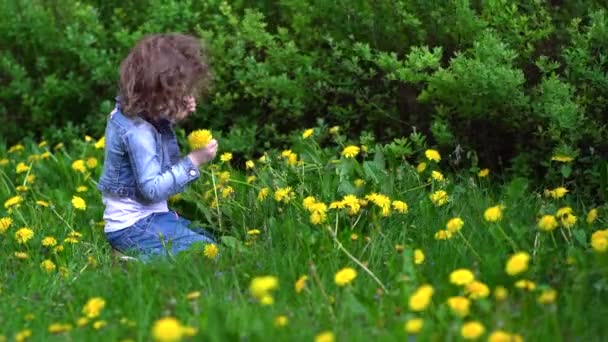 Малыш собирает цветы на весеннем зеленом лугу — стоковое видео
