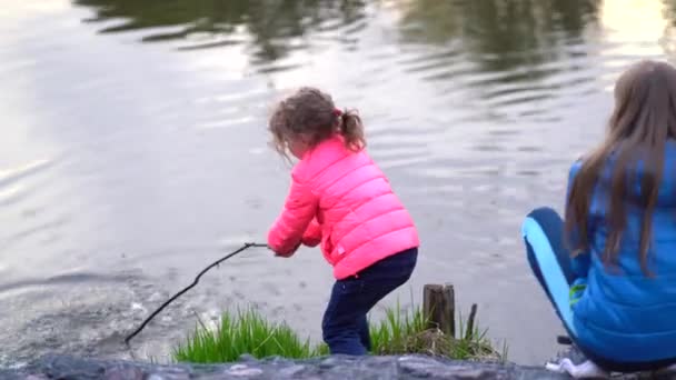 Aesculus hippocastanum bloei van een paard kastanje in een park in het voorjaar — Stockvideo