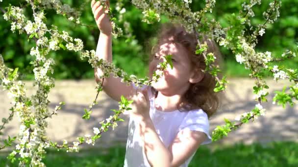 Verschwommenes, lockiges kleines Mädchen in einem blühenden Garten, das duftende Blumen schnüffelt. Frühlingskonzept. — Stockvideo