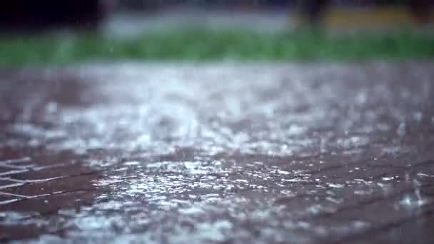 夏天的雨背景。秋天，潮湿的天气，雨天，秋天的概念. — 图库视频影像